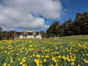 Mountain Blue Guest House